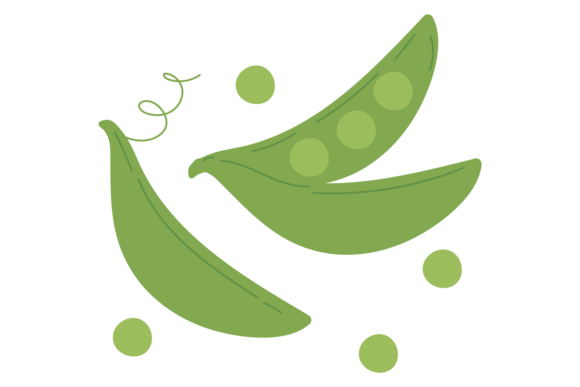 Green Peas Pod Color Icon: Natural Food Graphics & Illustrations