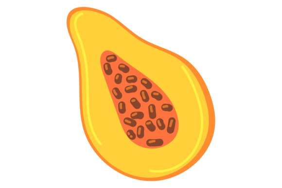 Papaya Color Icon: Fruit Half Cut Graphics & Illustrations