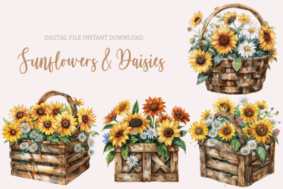 Watercolour Sunflowers Basket Clipart: Graphics & Illustrations